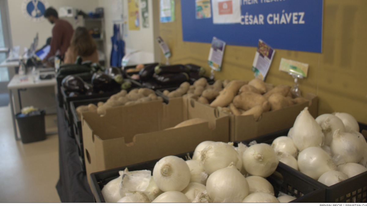 Onions, potatoes, eggplants and other vegetables sit on display, available for students to pick up at the Spartan Food Pantry located at the Diaz Compean Student Union.
